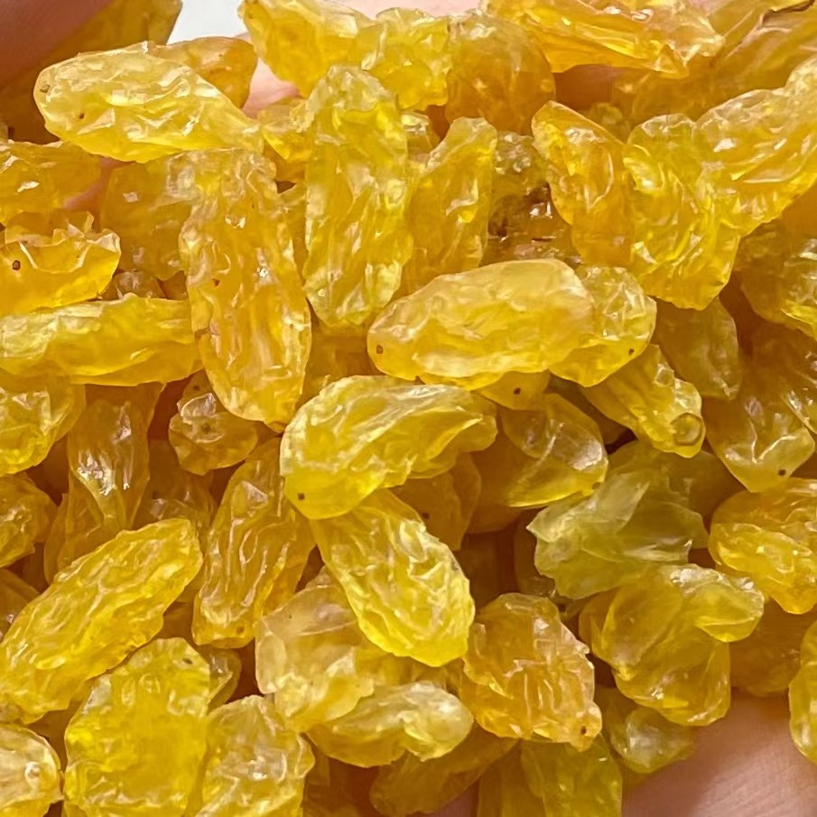 Golden Raisins 金提